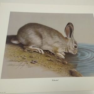 Cottontail by Harold Rigsby 408/975 Signed
